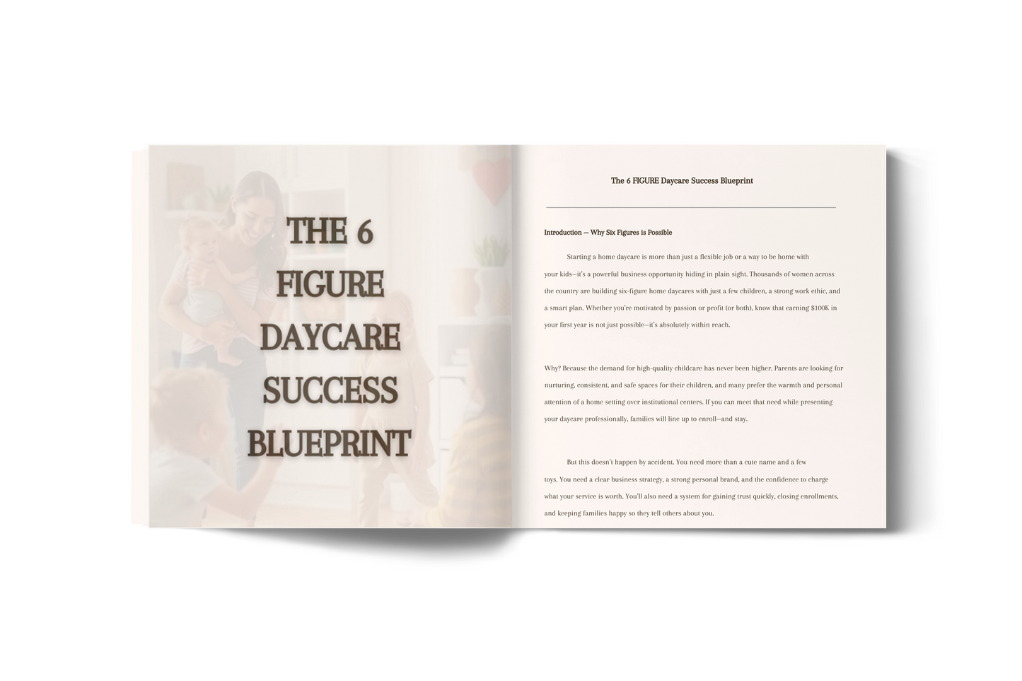 6 Figure Blueprint